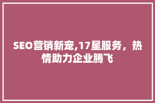 SEO营销新宠,17星服务，热情助力企业腾飞