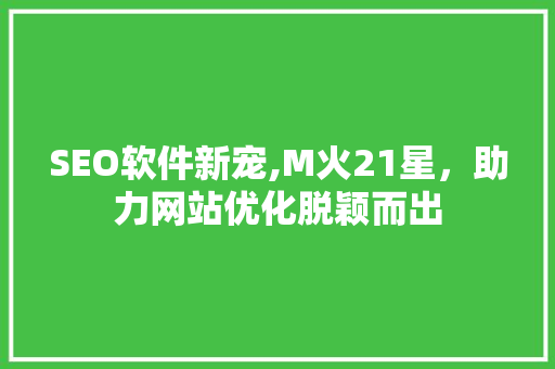 SEO软件新宠,M火21星，助力网站优化脱颖而出