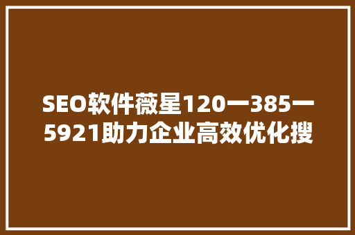 SEO软件薇星120一385一5921助力企业高效优化搜索引擎排名