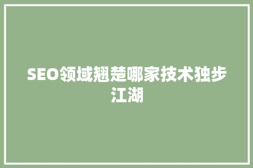 SEO领域翘楚哪家技术独步江湖