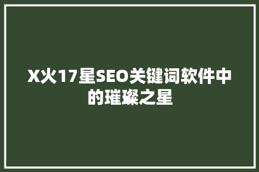 X火17星SEO关键词软件中的璀璨之星