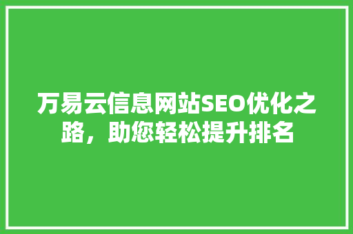 万易云信息网站SEO优化之路，助您轻松提升排名