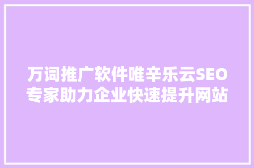 万词推广软件唯辛乐云SEO专家助力企业快速提升网站流量与排名