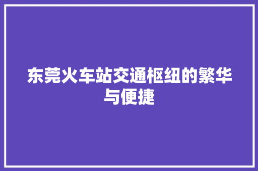 东莞火车站交通枢纽的繁华与便捷