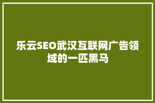 乐云SEO武汉互联网广告领域的一匹黑马