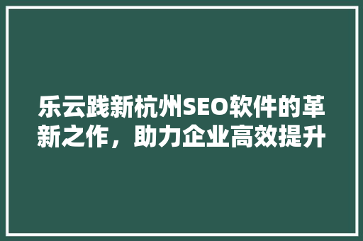 乐云践新杭州SEO软件的革新之作，助力企业高效提升网站排名