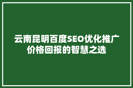 云南昆明百度SEO优化推广价格回报的智慧之选