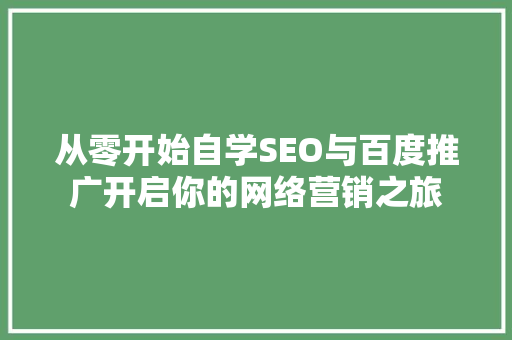 从零开始自学SEO与百度推广开启你的网络营销之旅