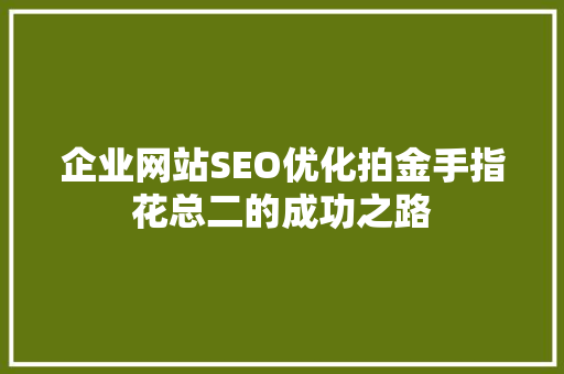 企业网站SEO优化拍金手指花总二的成功之路