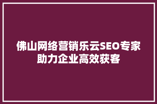 佛山网络营销乐云SEO专家助力企业高效获客