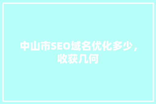 中山市SEO域名优化多少，收获几何