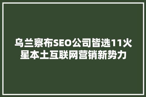 乌兰察布SEO公司皆选11火星本土互联网营销新势力