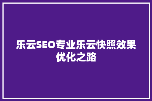 乐云SEO专业乐云快照效果优化之路