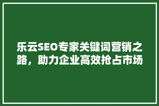 乐云SEO专家关键词营销之路，助力企业高效抢占市场先机