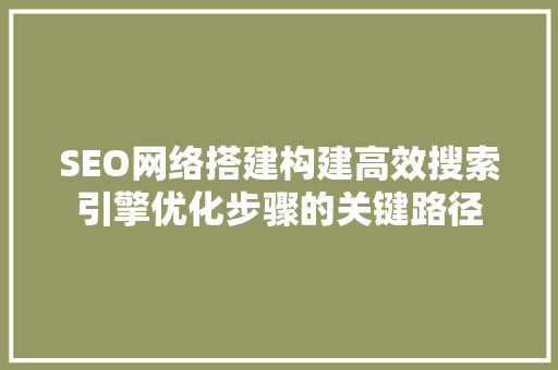SEO网络搭建构建高效搜索引擎优化步骤的关键路径