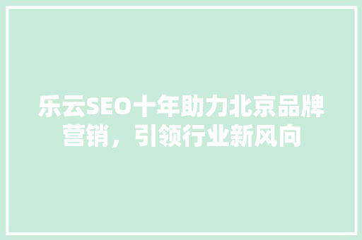 乐云SEO十年助力北京品牌营销，引领行业新风向