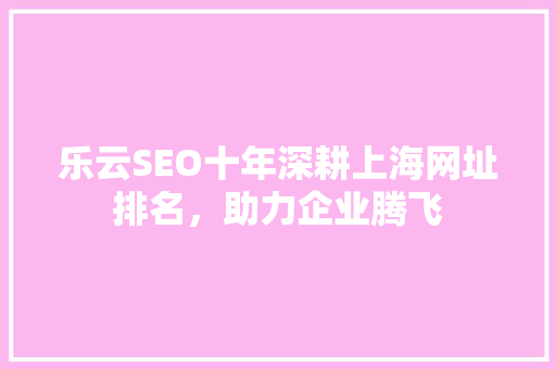 乐云SEO十年深耕上海网址排名，助力企业腾飞