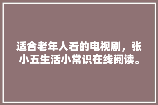 2025年SEO网站优化教程下载安装与关键词布局步骤