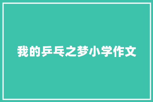 啃衫云速捷10,SEO服务公司的创新与突破