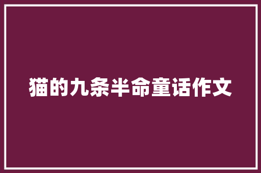 四川SEO公司加盟排行榜行业翘楚引领市场新风向