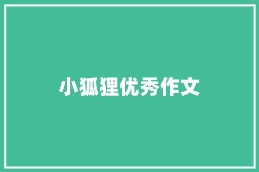 四川抖音SEO,助力企业腾飞的网络营销利器