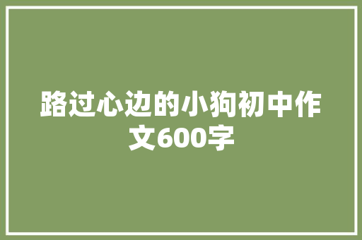 四川抖音SEO矩阵精准定位，助力企业营销新篇章