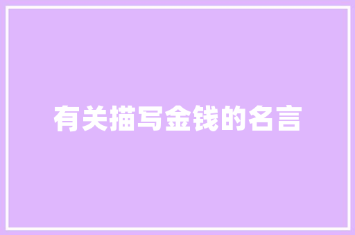 好乐云SEO权威搜索引擎优化之路，助力企业抢占网络高地