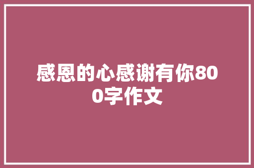 安徽个人抖音SEO优化价格亲民，效果显著