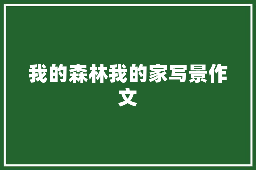 安阳新站SEO关键词排名技术提升网站流量与曝光度的方法