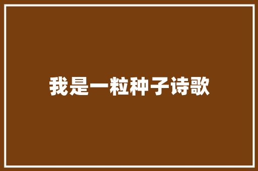 实力乐云SEO专家网络营销的秘密武器