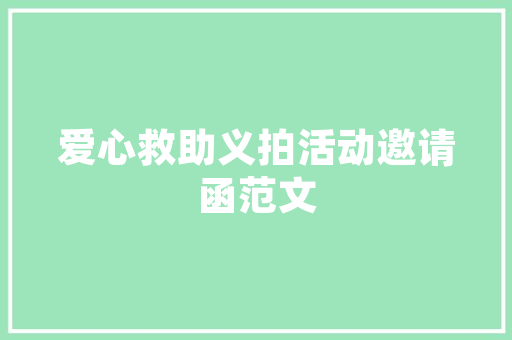 小钢炮SEO服务专业助力企业提升网络影响力