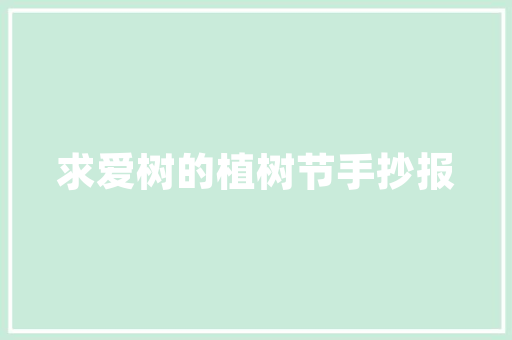 山东万易云正规网站SEO优化步骤全