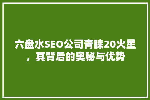 六盘水SEO公司青睐20火星，其背后的奥秘与优势