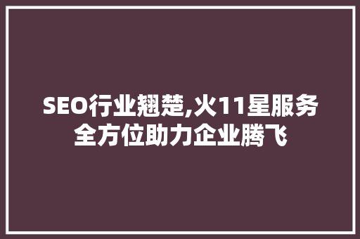SEO行业翘楚,火11星服务全方位助力企业腾飞
