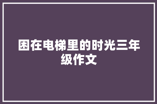十年乐云SEO品牌深圳推广系统助力企业腾飞
