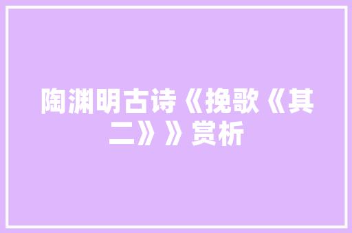 华龙区关键词SEO排名优化攻略打造网络营销新高度