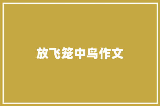 打造SEO新品牌全方位步骤助力品牌崛起