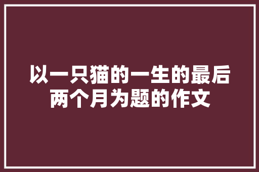 抖音SEO优化价格实惠的方法