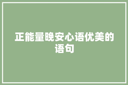 抖音SEO优化攻略如何让你的视频在抖音上脱颖而出
