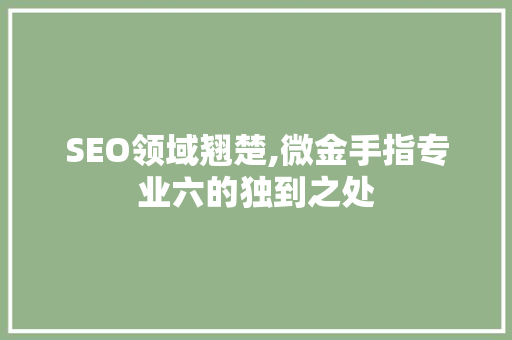 SEO领域翘楚,微金手指专业六的独到之处