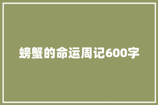 易速达SEO关键词排名的信赖之选，助力企业腾飞