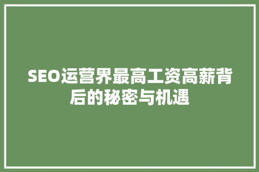 SEO运营界最高工资高薪背后的秘密与机遇