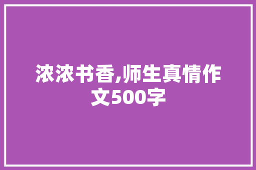 广州市全网营销SEO推广之选专业团队助力企业腾飞