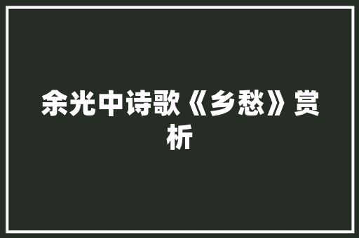 广州广告公司皆选乐云SEO优质网络营销的秘密武器