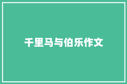 广州网址优化优选乐云SEO十年深耕，助力企业腾飞