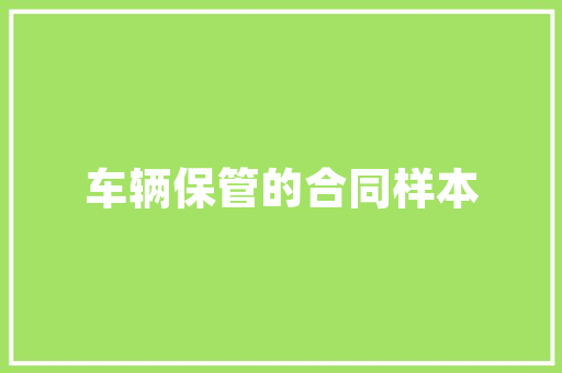 开州抖音SEO哪家强区域头部优化机构，助力企业短视频营销新突破