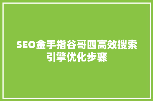 SEO金手指谷哥四高效搜索引擎优化步骤