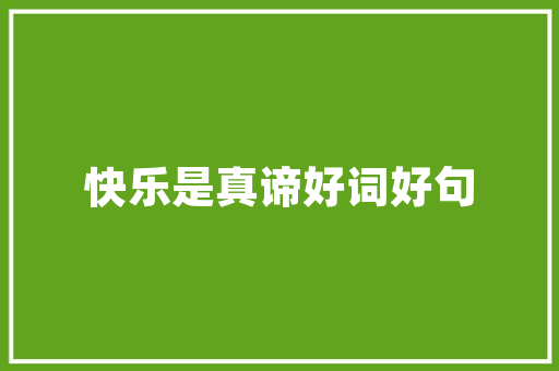 微信公众号SEO优化推广全攻略让您的公众号在互联网浪潮中脱颖而出