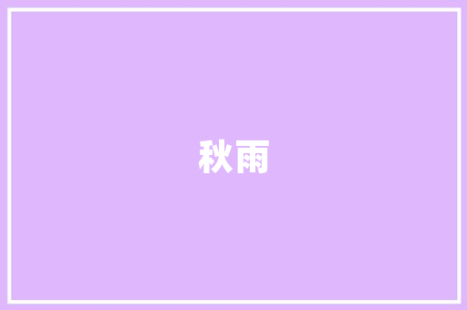 深圳市SEO搜索引擎优化报价价比之选助力企业腾飞