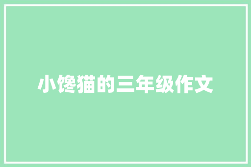深圳整站优化首荐乐云SEO包，助您轻松提升网站排名，赢得互联网红利